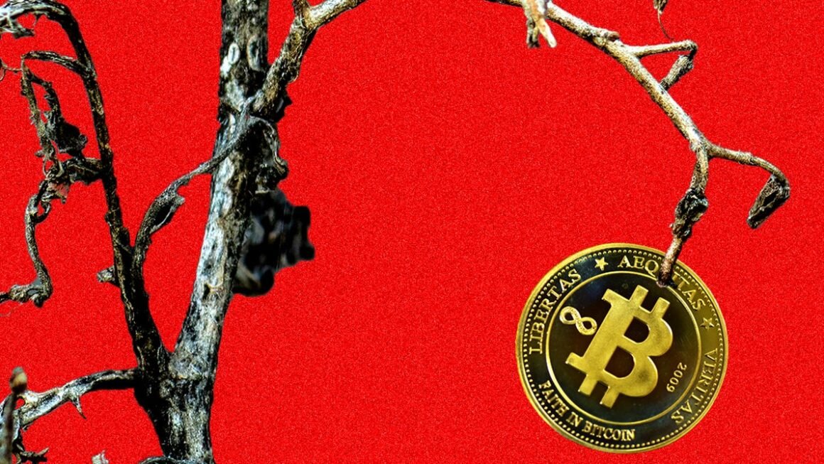 In the Kentucky Mountains, a Bitcoin Mining Dream Turned Into a Nightmare