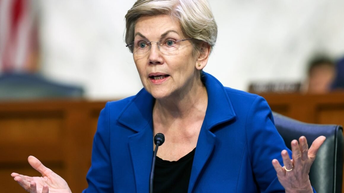 Elizabeth Warren Calls for Crackdown on Internet ‘Monopoly’ You’ve Never Heard Of