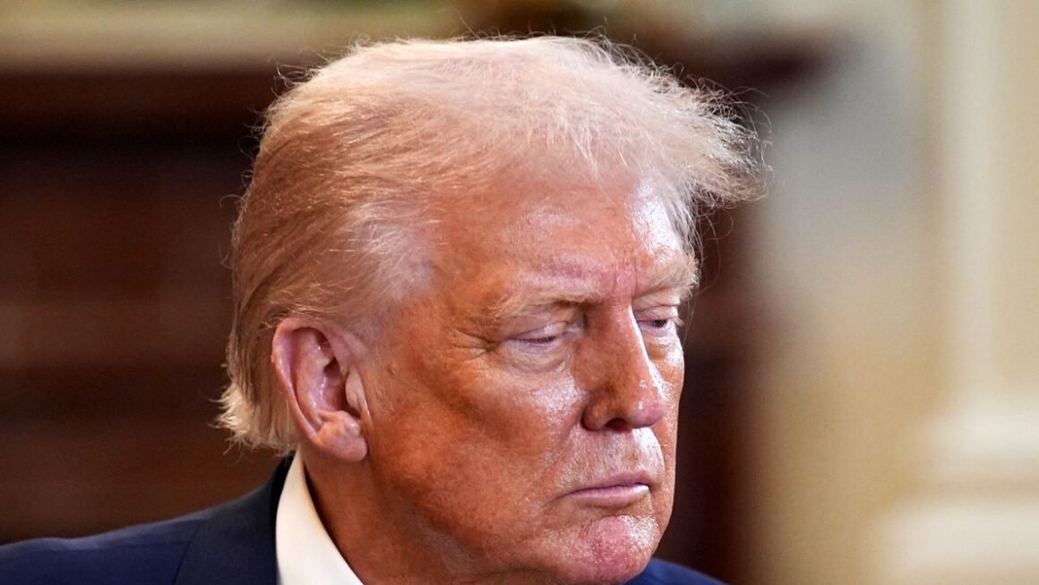 Trump Says He’s ‘Getting Rid of Woke’ and Dismisses Copyright Concerns in AI Policy Speech